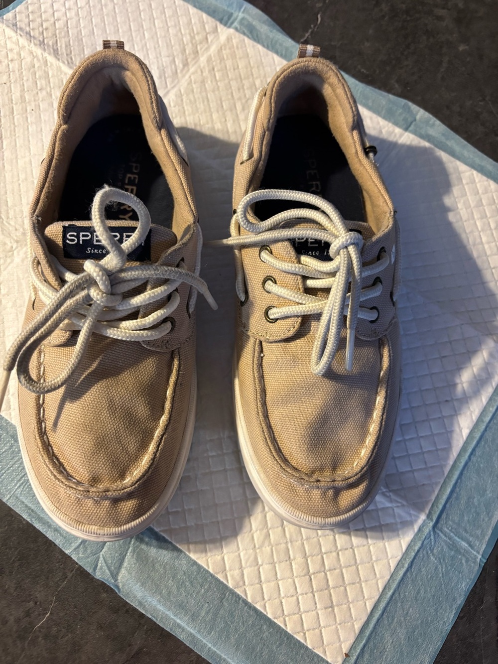 Kids Sperry  Tan Canvas Boat Shoes